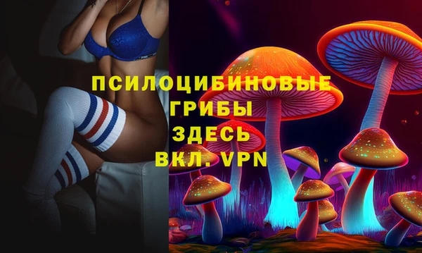 сатива Верхнеуральск