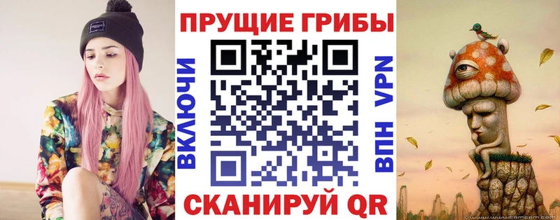 MEGA ссылки  хочу   Кедровый  Галлюциногенные грибы Psilocybe 